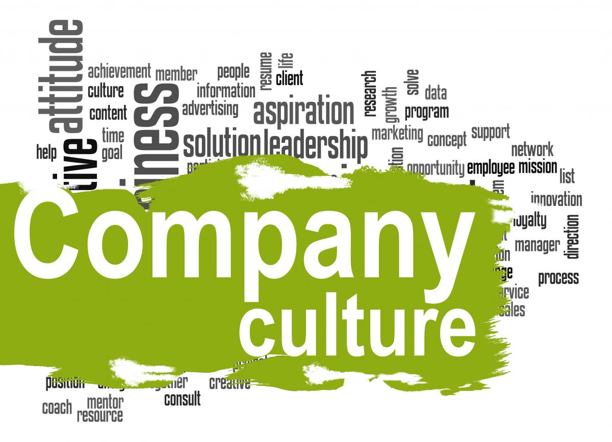 Company Culture